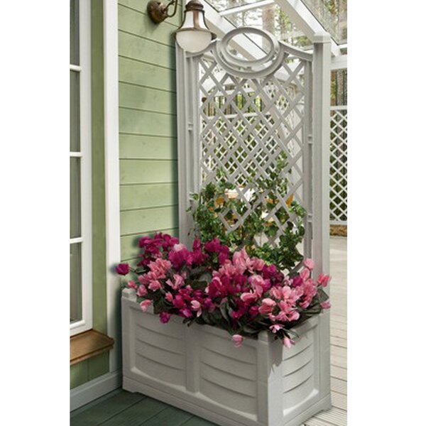 Winston Porter Lesia Polyresin Planter Box with Trellis